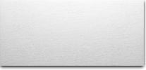 Flush Panel 2010